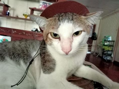 I Made A New Character What The Fuck Should I Name Him R Okbuddyblacklung