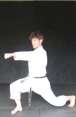 André Bertel s Karate Do SEIRYU KATA ON YOUTUBE