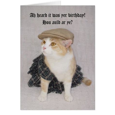 Customizable Funny Scottish Fold Scottish Birthday Card | Zazzle.com