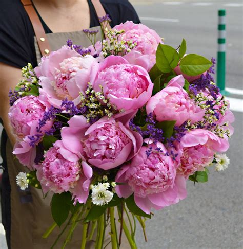 FLOWER ARRANGEMENT AMOUR de peonias