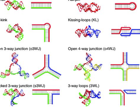 Rna Structure