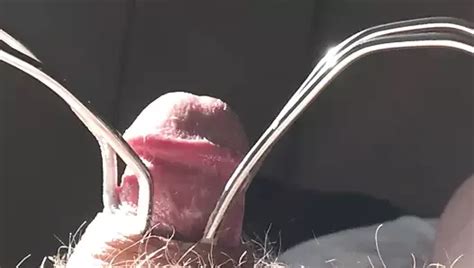 Sunny Sunday Foreskin Part Free Gay Cumming Hd Porn Xhamster