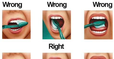 You May Have Been Brushing Your Teeth The Wrong Way This Whole Time