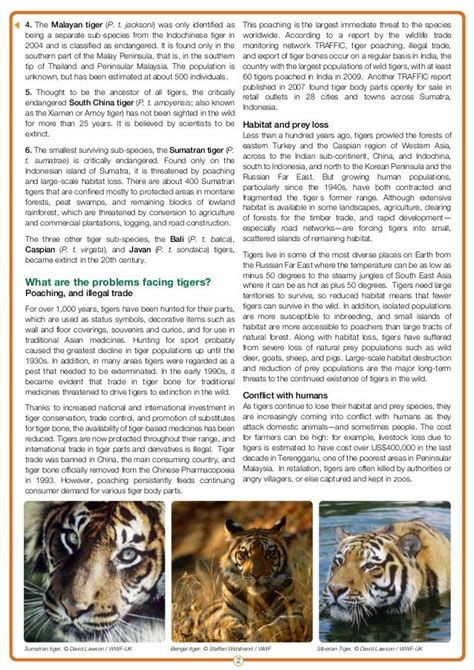 Wwf tiger factsheet_2010_1