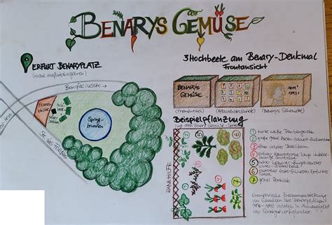 Benary Erfurt