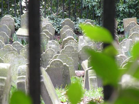 South Park Pet Cemetery Episode