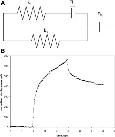 A The Spring Dashpot Model Consists Of A Kelvin Body In Series With A Download Scientific