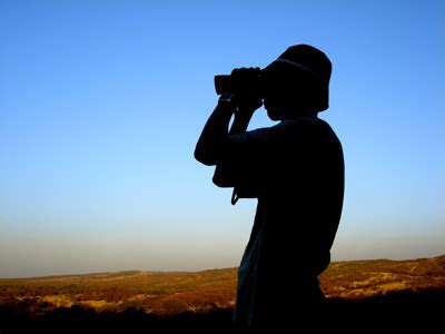 searching     ramparts  civilization