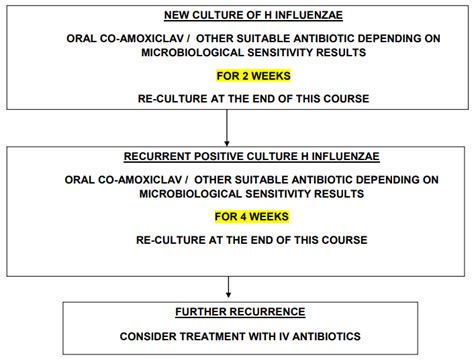 Eradication of Haemophilus Influenza in Children with Cystic Fibrosis