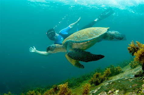 Discover the Galapagos Islands | Veloso Tours