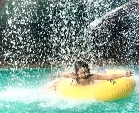 Conhecemos O Parque Aqu Tico Hot Beach Ol Mpia Sp M Es Em Viagem