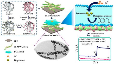 Chemosensors Free Full Text Nanocomposite Based Electrochemical