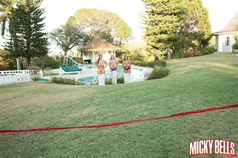 Big Boob Bundle Performed By Gya Micky Bells Terri Jane Porn Gallery