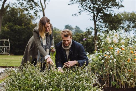 Discover | The King's Ginger