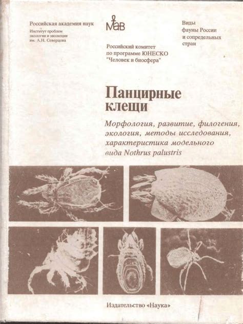 (PDF) Oribatid mites, morphology,development, phylogeny,ecology ...