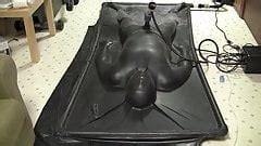 Venus Milking Machine Free Man Porn XHamster