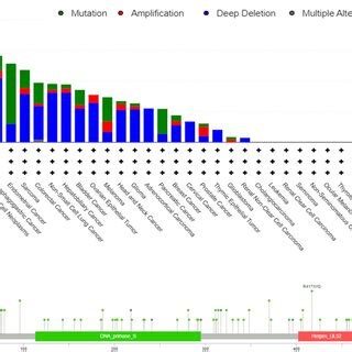 The Mutation Status Of Primpol Across Tcga Cancers A B Cbioportal