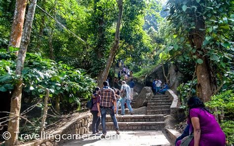 Edakkal Caves Trekking