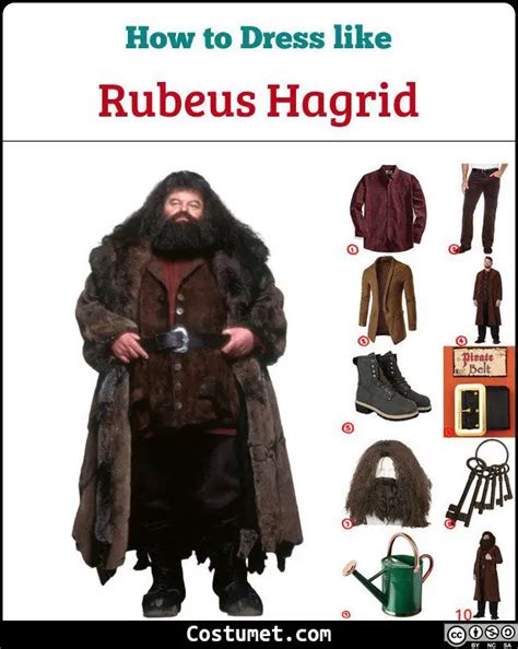 Rubeus Hagrid Costume For Halloween
