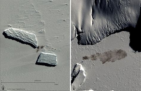 Photos: The emperor penguins of Antarctica from space | Minnesota