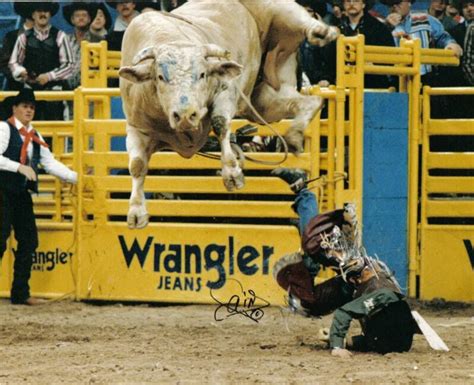 Bodacious Pbr Bull Riding Bucking Bulls Bull Riding