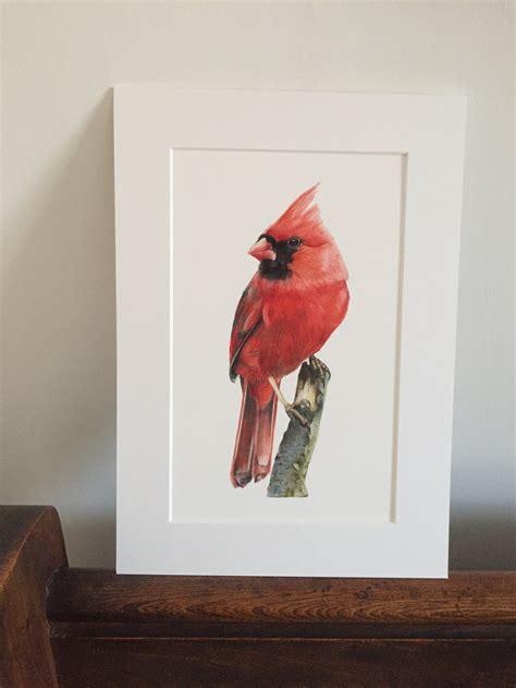 Red Cardinal Giclee Print Of An Original Pencil Drawing Etsy