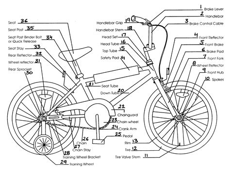 Bicycle Parts Diagram Detailed