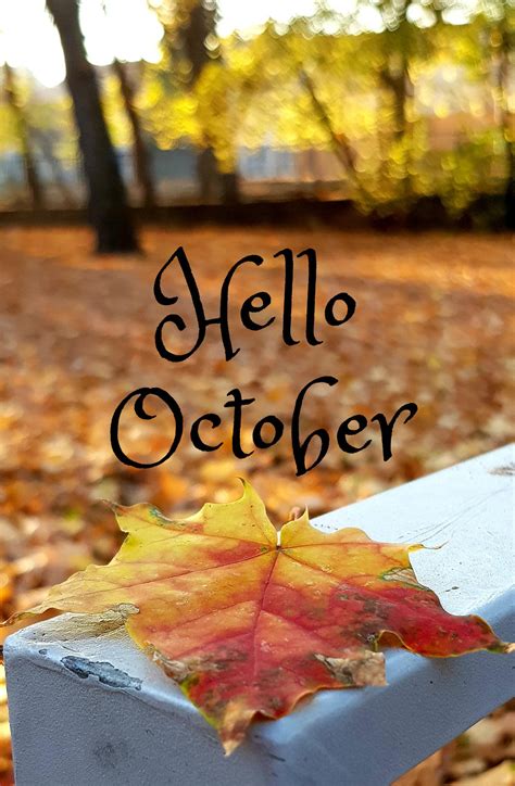[100+] Hello October Wallpapers | Wallpapers.com