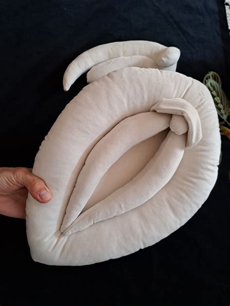 Vulva Anatomy Vulva And Clitoris Set Sex Teaching Sex Etsy