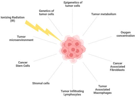 Joint And Muscle Pain After Radiotherapy at David Penny blog