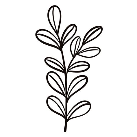 Hand Drawn Leaf Illustration Doodles Style 29227265 Png