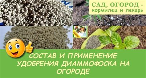 Диаммофоска: состав, характеристика, применение в огороде и саду, нормы ...