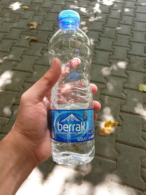 berrak - uludağ sözlük galeri