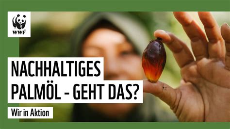 Gibt Es Nachhaltiges Palmöl Tabin 2 Wwf Deutschland Youtube