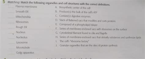 Solved 5 Matching: Match the following organelles and cell | Chegg.com