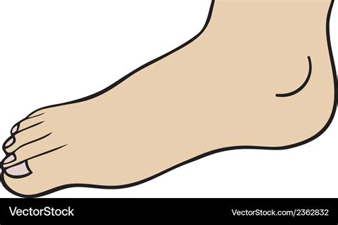 Foot Royalty Free Vector Image Vectorstock