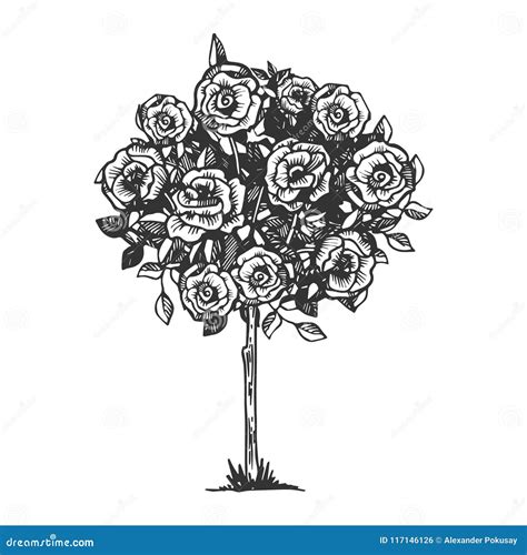 How To Draw A Rose Bush Easy