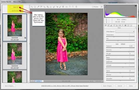 Speed Up Your Workflow Batch Editing Presets And Resizing