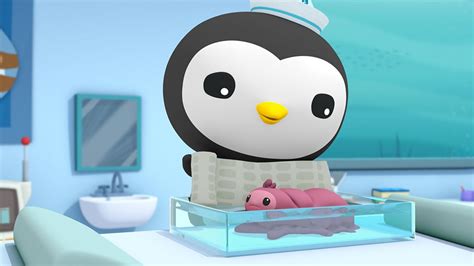 Octonauts Series 1 7 The Orcas BBC IPlayer