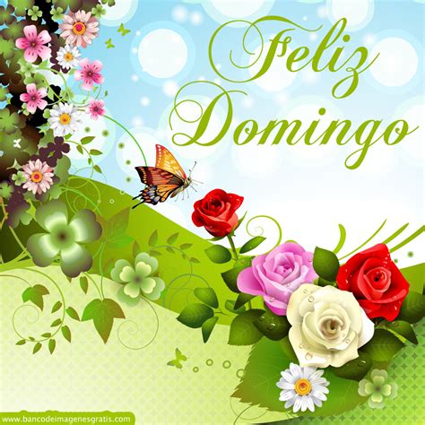 Unique Wallpaper Feliz Domingo Imágenes Con Mensajes Para Compartir