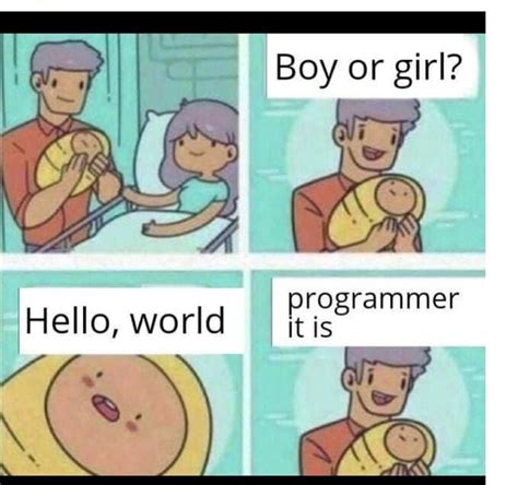 Classic Meme How A Programmer Is Born Gag