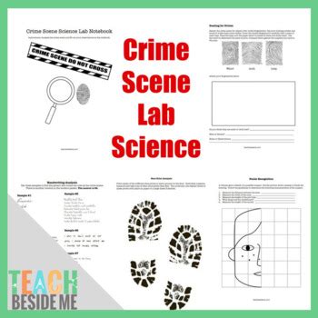 32 Forensic Science Blood Spatter Worksheet Support Worksheet