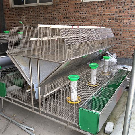 50~80 Babies Farm Rabbit Cage Commercial Rabbit Breeding Cages