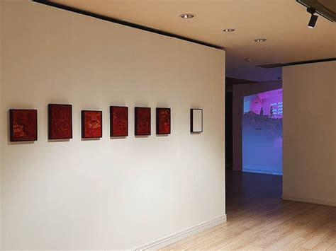 Tranh cãi gay gắt về triển lãm gạo của Quang Đại tại Bangkok