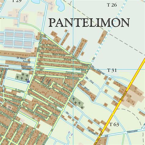 harta pantelimon harta personalizata