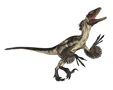 Evolution explained: what evolution is, how evolution works - and how ...