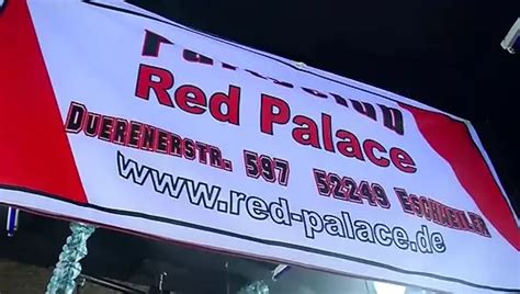 German Swinger Report Full Hd Film Anal Porn Feat Hottie Hollie Xhamster