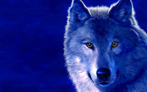 Wolf HD Wallpaper