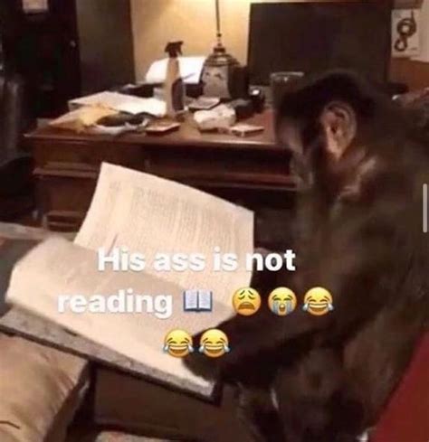 His Ass Is Not X Know Your Meme