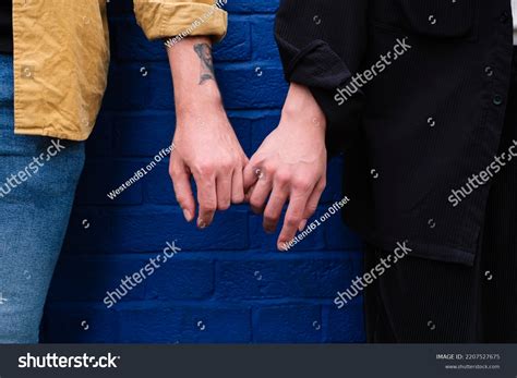 Gay Couple Holding Hands Standing Front Stock Photo Shutterstock